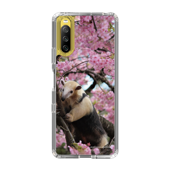 Slim Protection Case［ The Izu Animal Kingdom - Anteater ］
