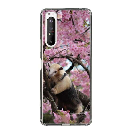 Slim Protection Case［ The Izu Animal Kingdom - Anteater ］