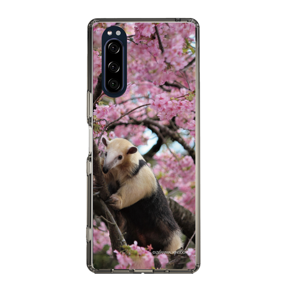 Slim Protection Case［ The Izu Animal Kingdom - Anteater ］