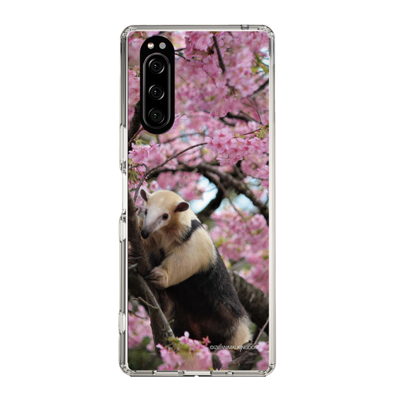 Slim Protection Case［ The Izu Animal Kingdom - Anteater ］