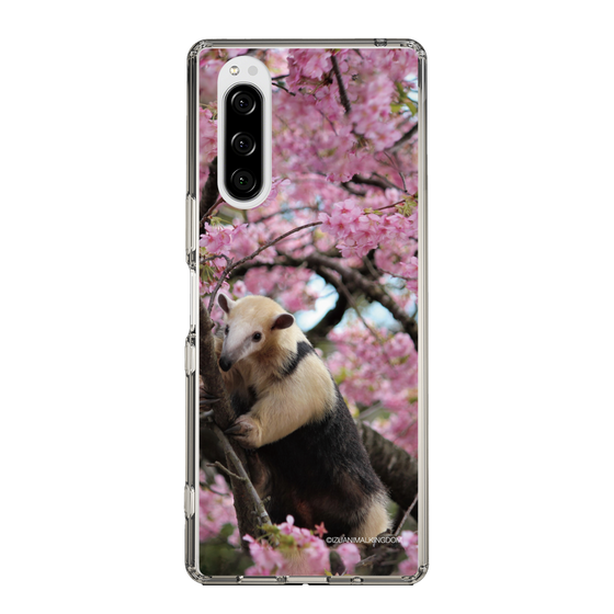 Slim Protection Case［ The Izu Animal Kingdom - Anteater ］