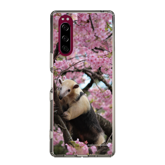 Slim Protection Case［ The Izu Animal Kingdom - Anteater ］
