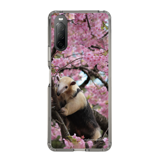 Slim Protection Case［ The Izu Animal Kingdom - Anteater ］