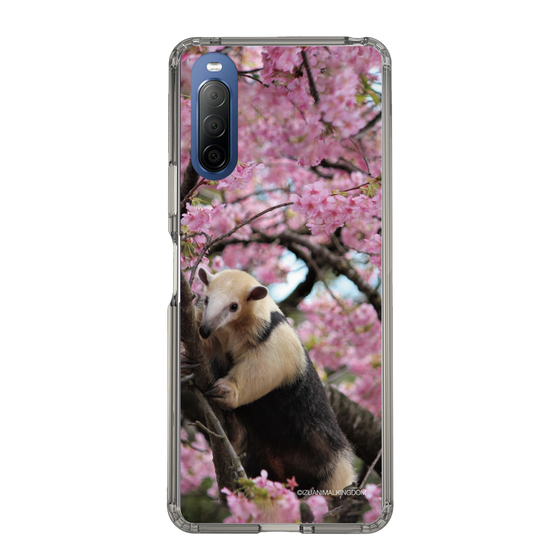 Slim Protection Case［ The Izu Animal Kingdom - Anteater ］