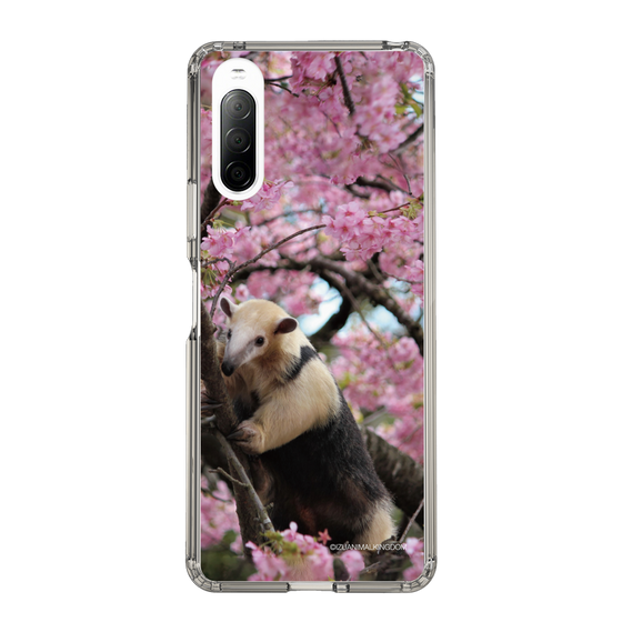 Slim Protection Case［ The Izu Animal Kingdom - Anteater ］