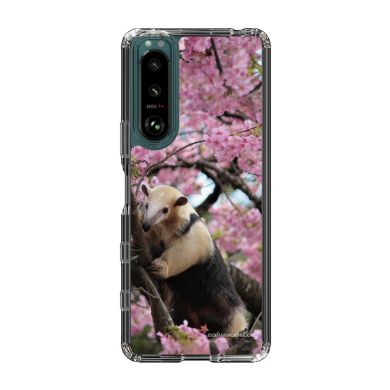 Slim Protection Case［ The Izu Animal Kingdom - Anteater ］