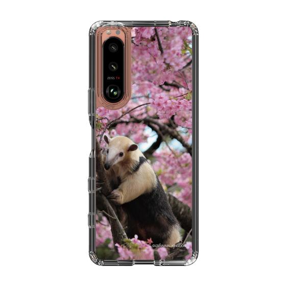 Slim Protection Case［ The Izu Animal Kingdom - Anteater ］