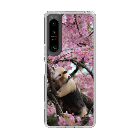 Slim Protection Case［ The Izu Animal Kingdom - Anteater ］