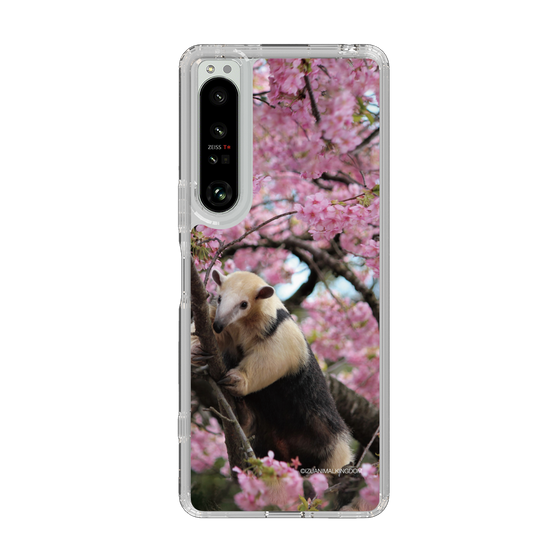 Slim Protection Case［ The Izu Animal Kingdom - Anteater ］