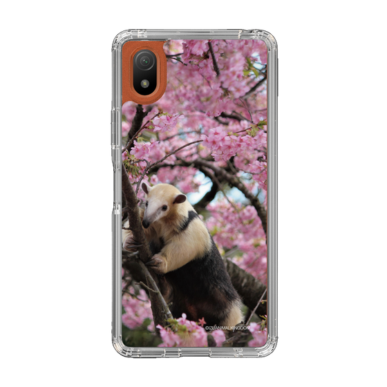 Slim Protection Case［ The Izu Animal Kingdom - Anteater ］
