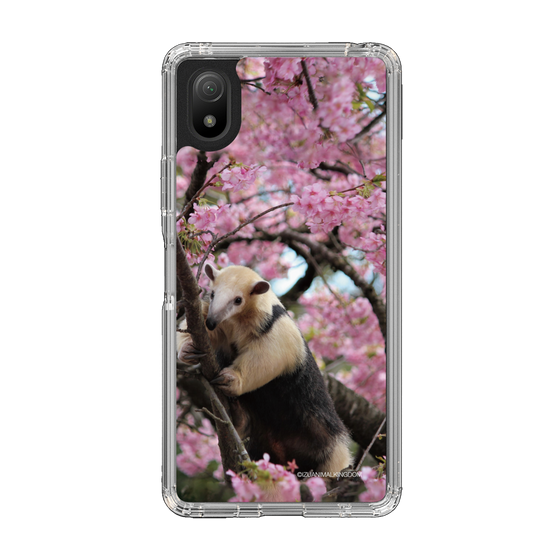 Slim Protection Case［ The Izu Animal Kingdom - Anteater ］
