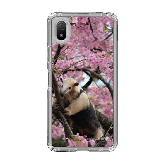 Slim Protection Case［ The Izu Animal Kingdom - Anteater ］
