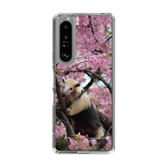 Slim Protection Case［ The Izu Animal Kingdom - Anteater ］