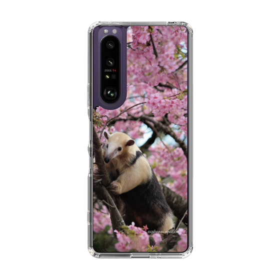 Slim Protection Case［ The Izu Animal Kingdom - Anteater ］
