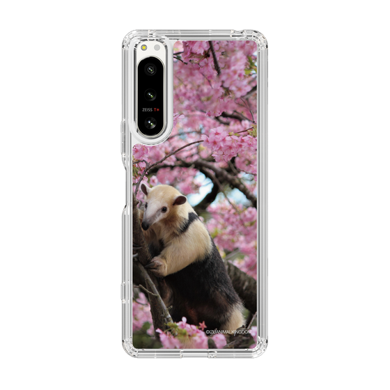 Slim Protection Case［ The Izu Animal Kingdom - Anteater ］