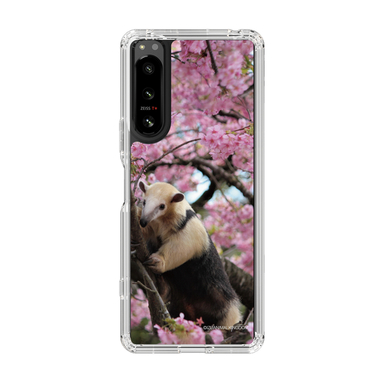 Slim Protection Case［ The Izu Animal Kingdom - Anteater ］