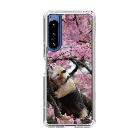 Slim Protection Case［ The Izu Animal Kingdom - Anteater ］