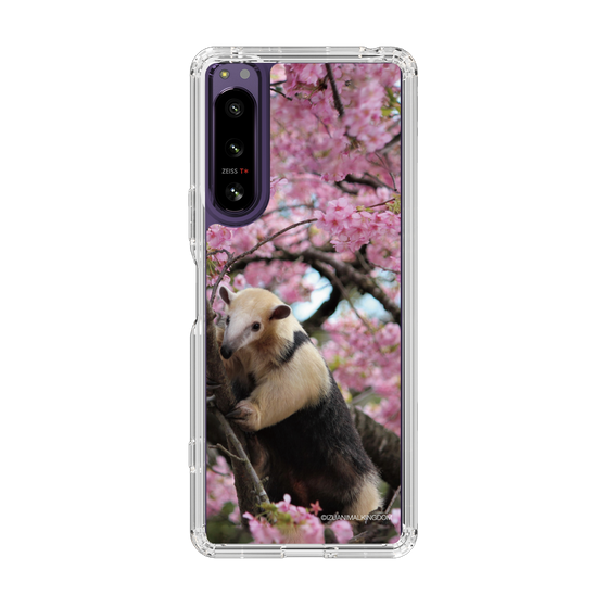 Slim Protection Case［ The Izu Animal Kingdom - Anteater ］
