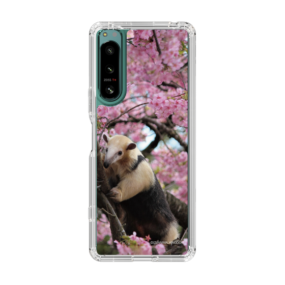 Slim Protection Case［ The Izu Animal Kingdom - Anteater ］
