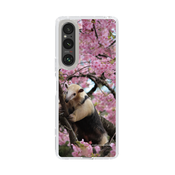 Slim Protection Case［ The Izu Animal Kingdom - Anteater ］