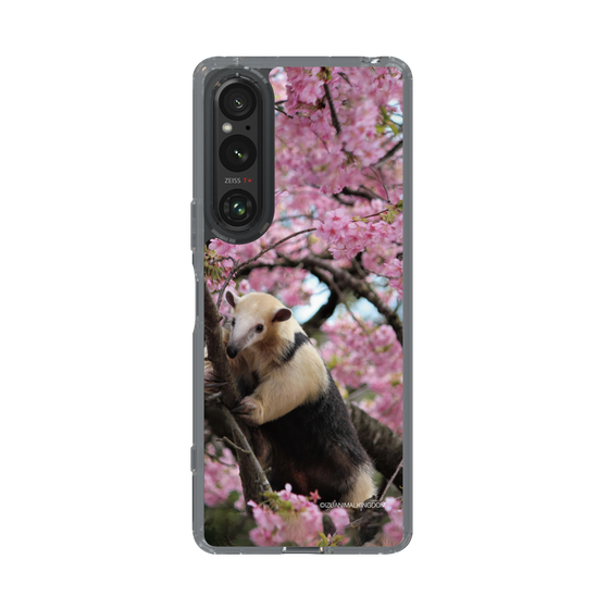Slim Protection Case［ The Izu Animal Kingdom - Anteater ］