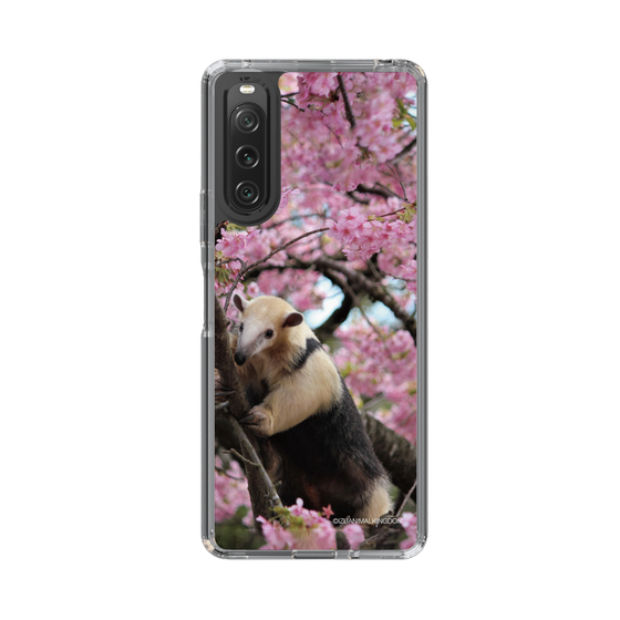 Slim Protection Case［ The Izu Animal Kingdom - Anteater ］