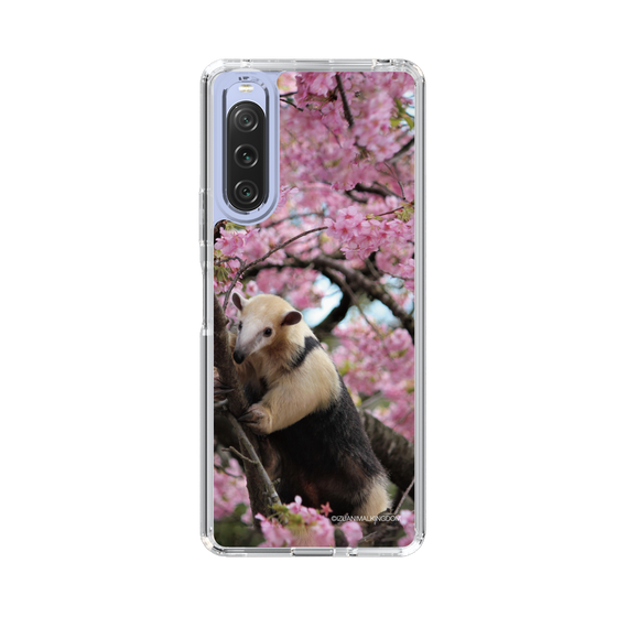 Slim Protection Case［ The Izu Animal Kingdom - Anteater ］