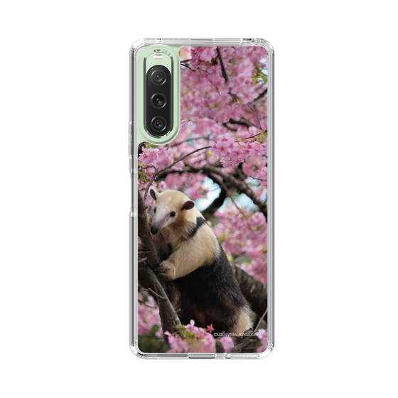 Slim Protection Case［ The Izu Animal Kingdom - Anteater ］