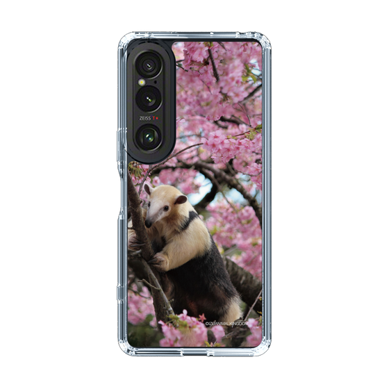 Slim Protection Case［ The Izu Animal Kingdom - Anteater ］