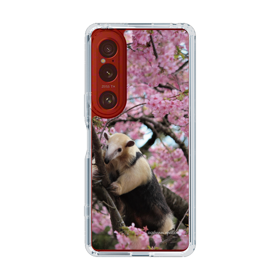Slim Protection Case［ The Izu Animal Kingdom - Anteater ］