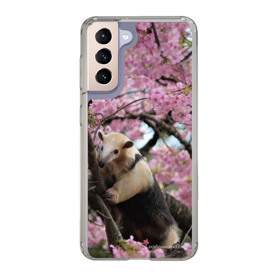 Slim Protection Case［ The Izu Animal Kingdom - Anteater ］