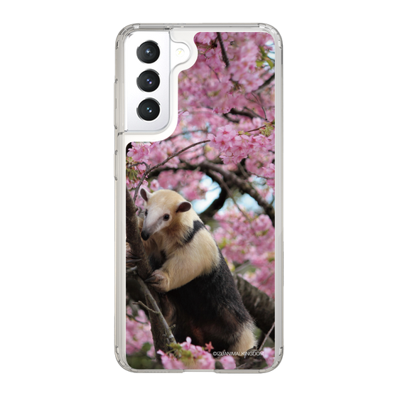 Slim Protection Case［ The Izu Animal Kingdom - Anteater ］