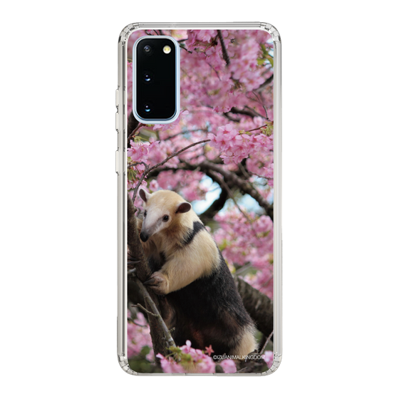Slim Protection Case［ The Izu Animal Kingdom - Anteater ］