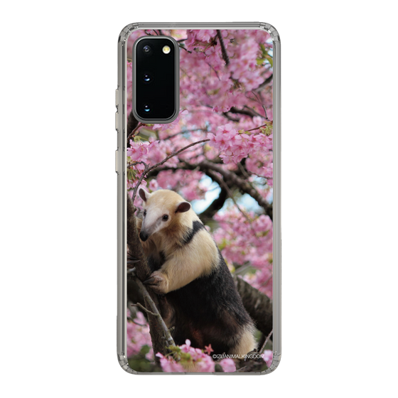 Slim Protection Case［ The Izu Animal Kingdom - Anteater ］