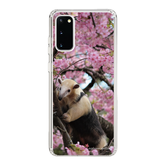 Slim Protection Case［ The Izu Animal Kingdom - Anteater ］