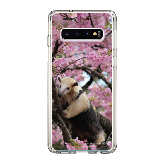 Slim Protection Case［ The Izu Animal Kingdom - Anteater ］