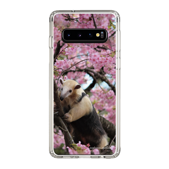 Slim Protection Case［ The Izu Animal Kingdom - Anteater ］