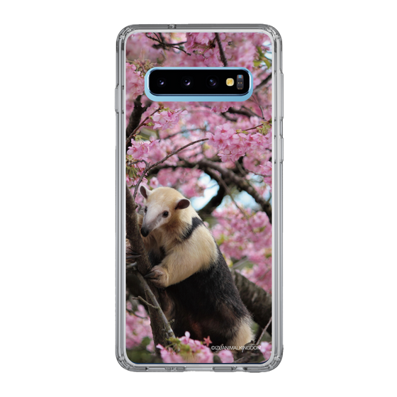 Slim Protection Case［ The Izu Animal Kingdom - Anteater ］