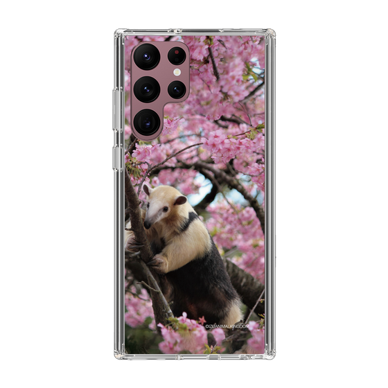 Slim Protection Case［ The Izu Animal Kingdom - Anteater ］