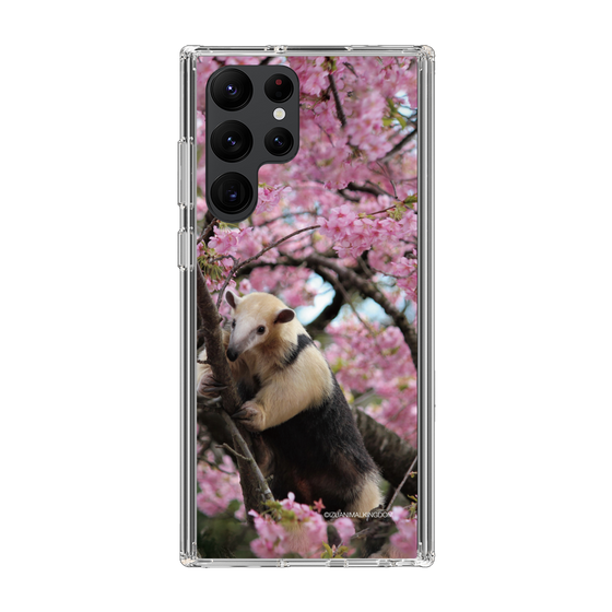 Slim Protection Case［ The Izu Animal Kingdom - Anteater ］