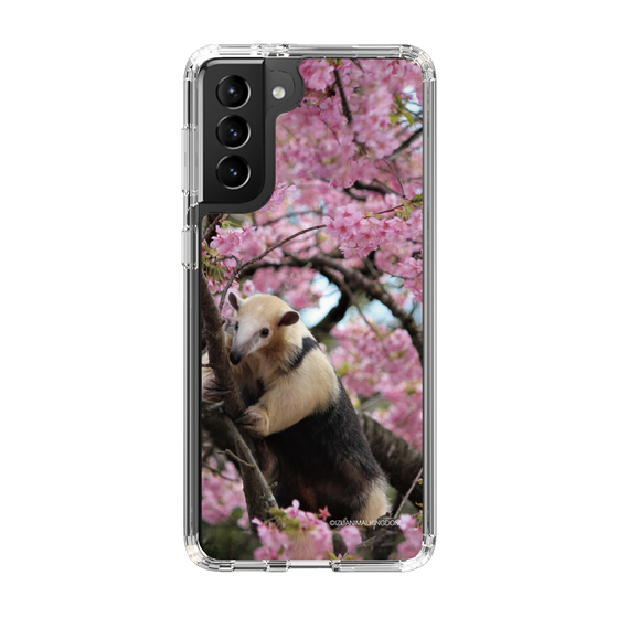 Slim Protection Case［ The Izu Animal Kingdom - Anteater ］