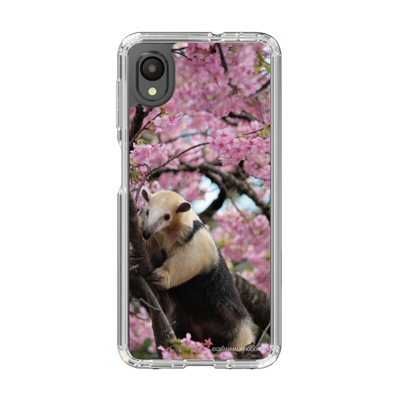 Slim Protection Case［ The Izu Animal Kingdom - Anteater ］