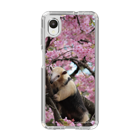 Slim Protection Case［ The Izu Animal Kingdom - Anteater ］