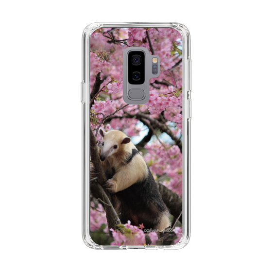 Slim Protection Case［ The Izu Animal Kingdom - Anteater ］