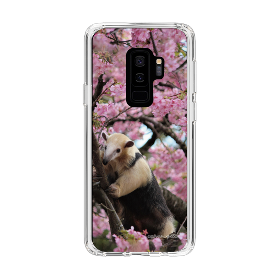Slim Protection Case［ The Izu Animal Kingdom - Anteater ］