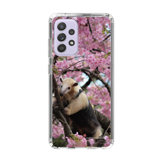Slim Protection Case［ The Izu Animal Kingdom - Anteater ］