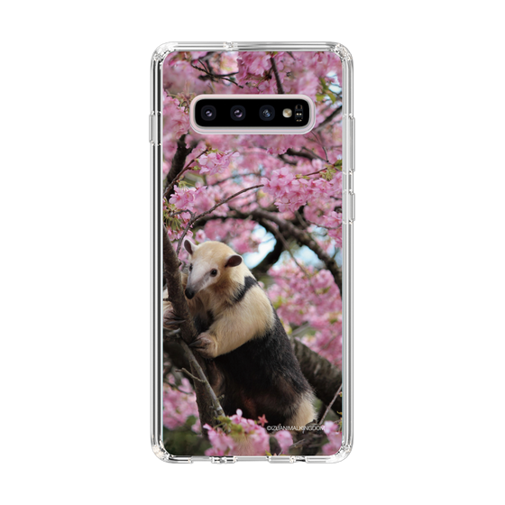 Slim Protection Case［ The Izu Animal Kingdom - Anteater ］