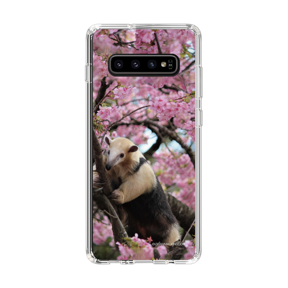 Slim Protection Case［ The Izu Animal Kingdom - Anteater ］