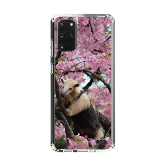 Slim Protection Case［ The Izu Animal Kingdom - Anteater ］