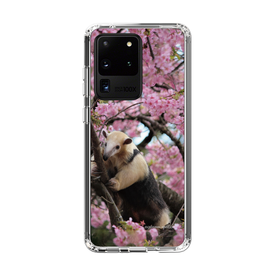 Slim Protection Case［ The Izu Animal Kingdom - Anteater ］